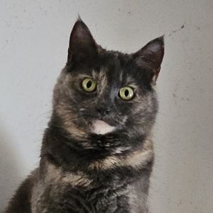 Meet your Posher, Claire